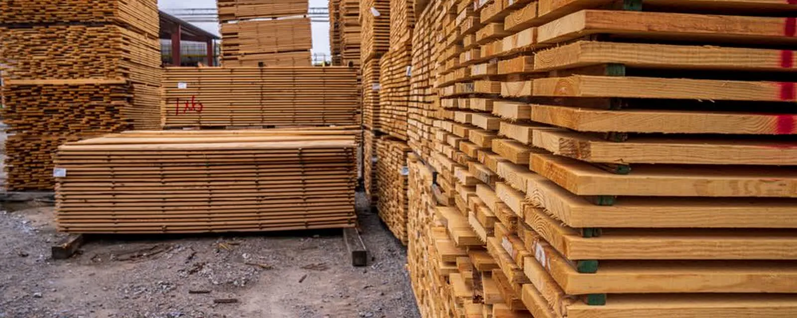 Stacked, labeled bundles of kiln-dried APG-grade pine lumber ready for export