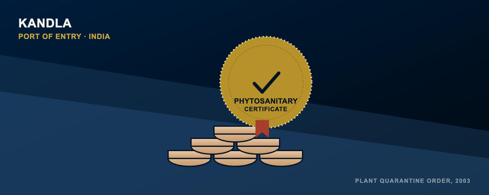 Illustrated graphic of a phytosanitary certificate stamp over a stack of timber logs, labeled Kandla, port of entry, India