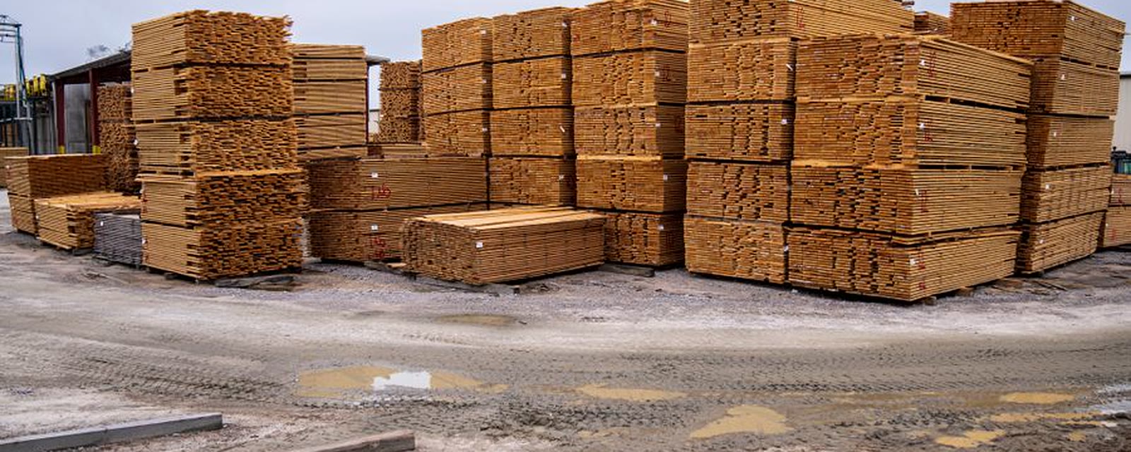 Packs of kiln-dried pine lumber stacked in a sawmill yard, strapped and ready for export